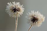 Bild-29